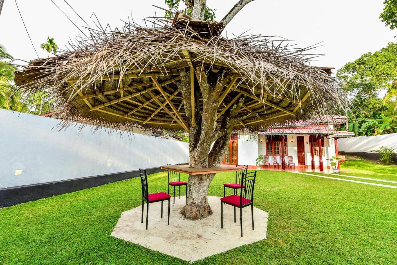 The Senu Grand Villa ฮิกคาดูวา ภายนอก รูปภาพ
